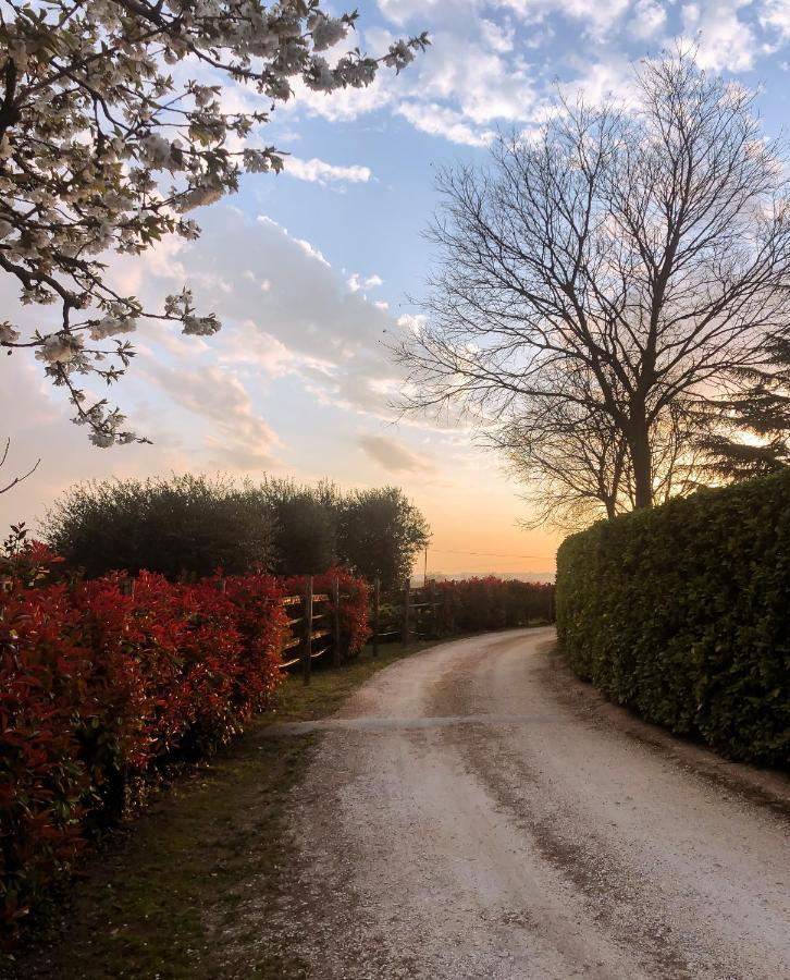 B&B Cascina Mattarelle มอนซามบาโน ภายนอก รูปภาพ