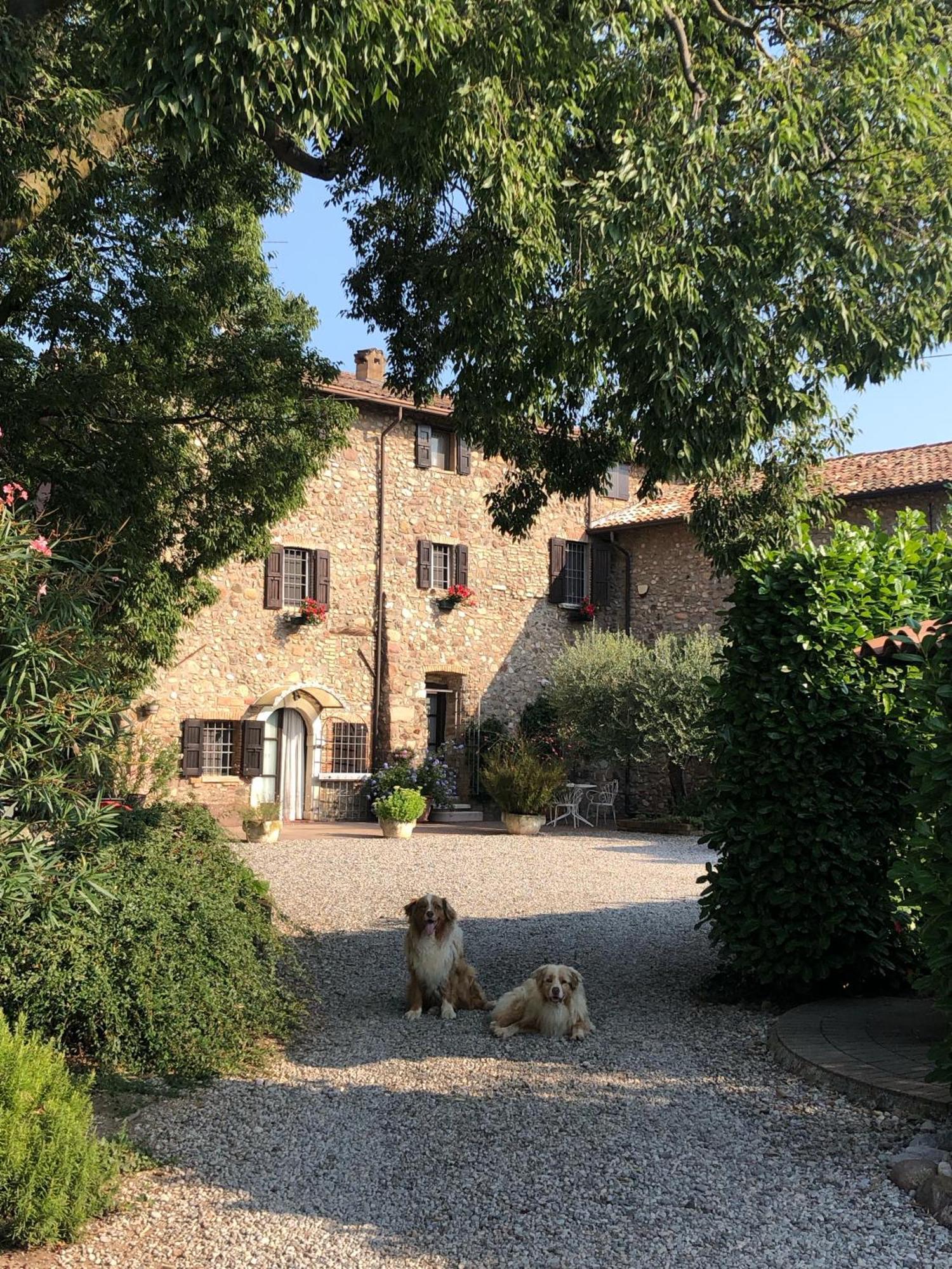 B&B Cascina Mattarelle มอนซามบาโน ภายนอก รูปภาพ