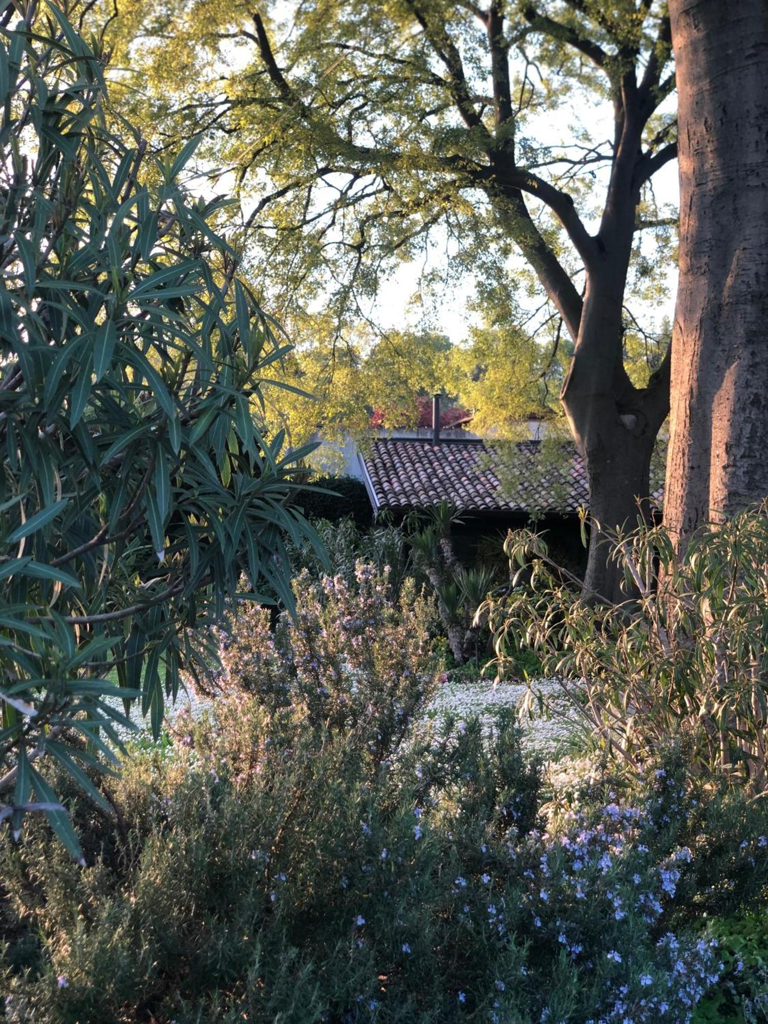 B&B Cascina Mattarelle มอนซามบาโน ภายนอก รูปภาพ
