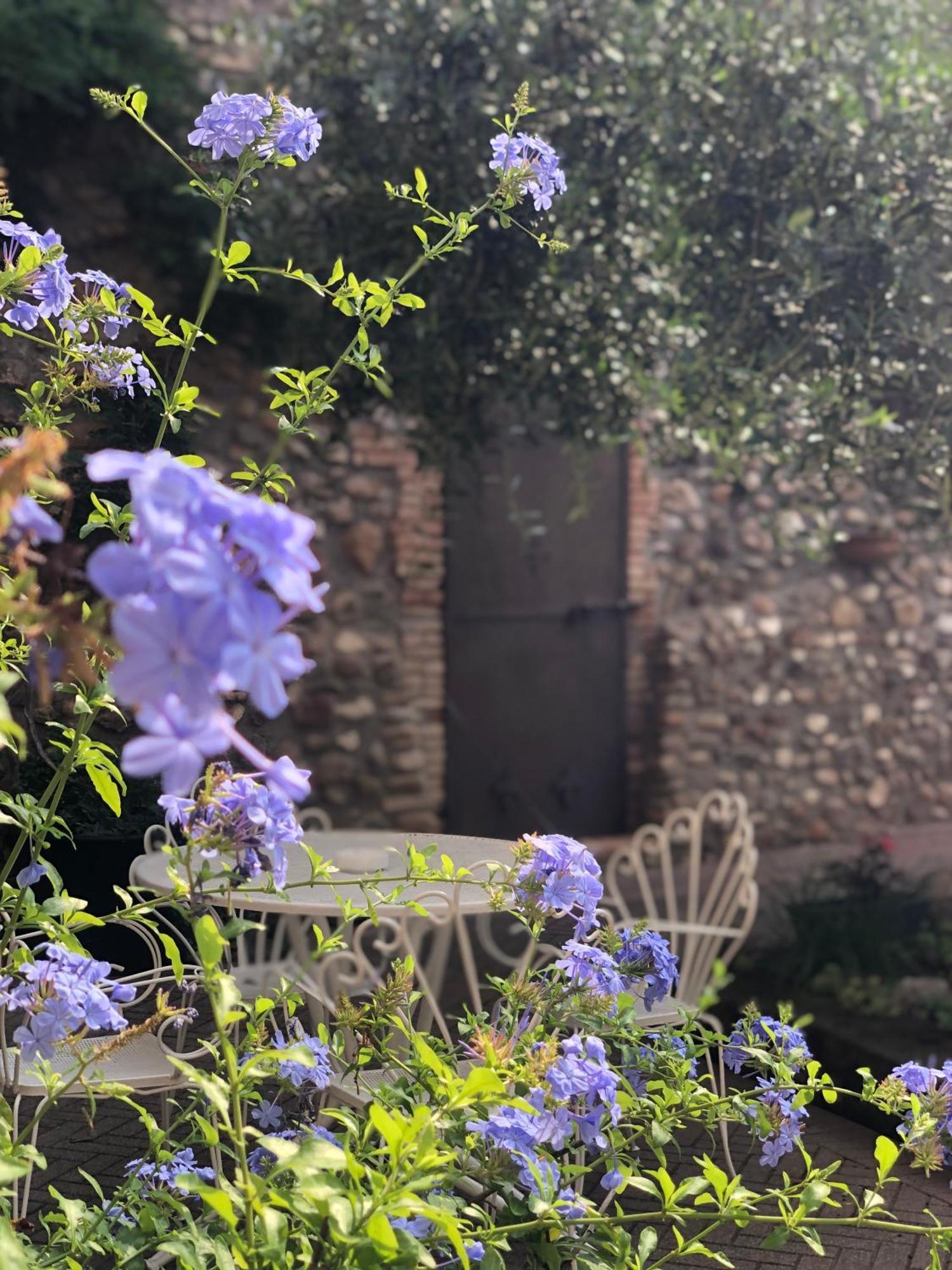 B&B Cascina Mattarelle มอนซามบาโน ภายนอก รูปภาพ